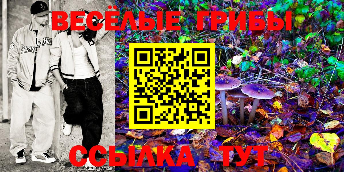 дарнет шоп  Вход с VPN  Ревда  Псилоцибиновые грибы MAGIC MUSHROOMS 