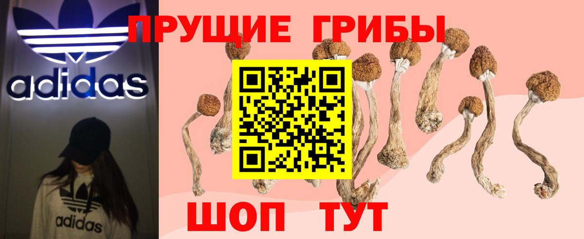 Галлюциногенные грибы мицелий Ревда